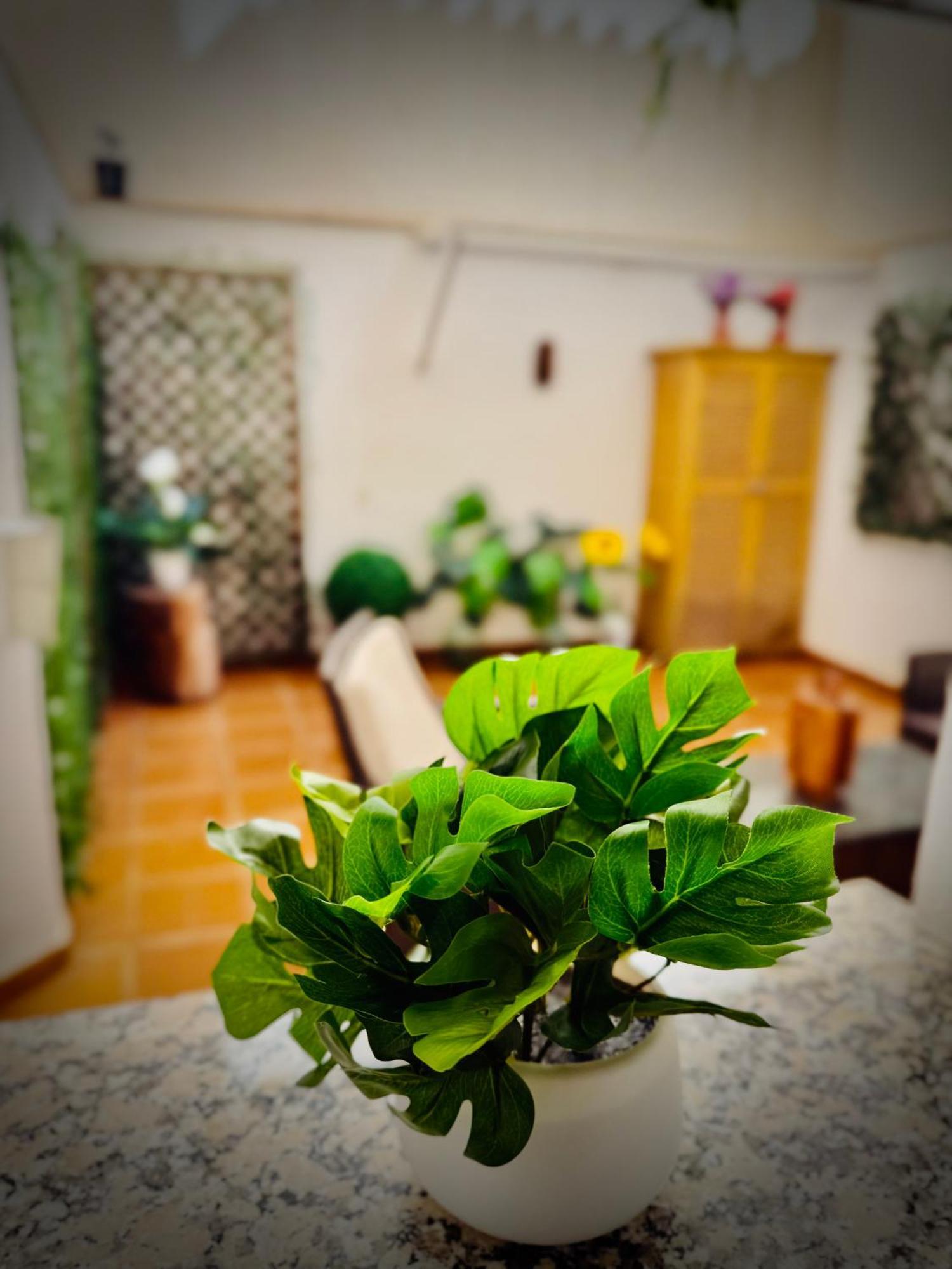 Centrico Apartamento Con Parking Granada Luaran gambar